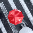 赫克托尔